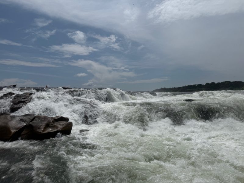 nile image